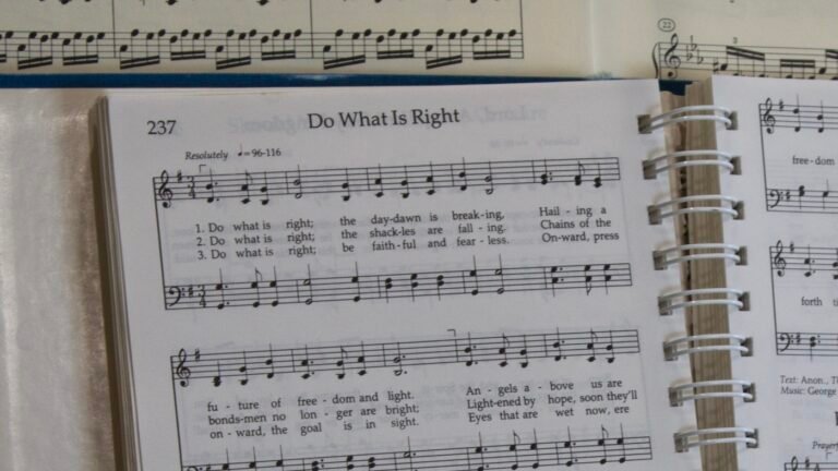 Mormon Women for Ethical Government works on redistricting : NPR