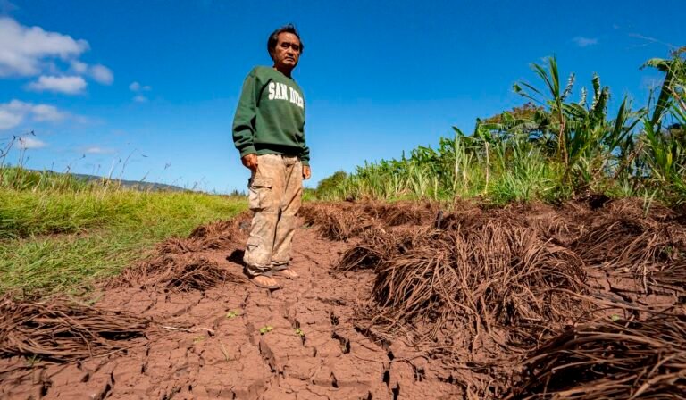 Hawaii’s worst flooding in 20 years leaves farmers struggling and fewer veggies at the market