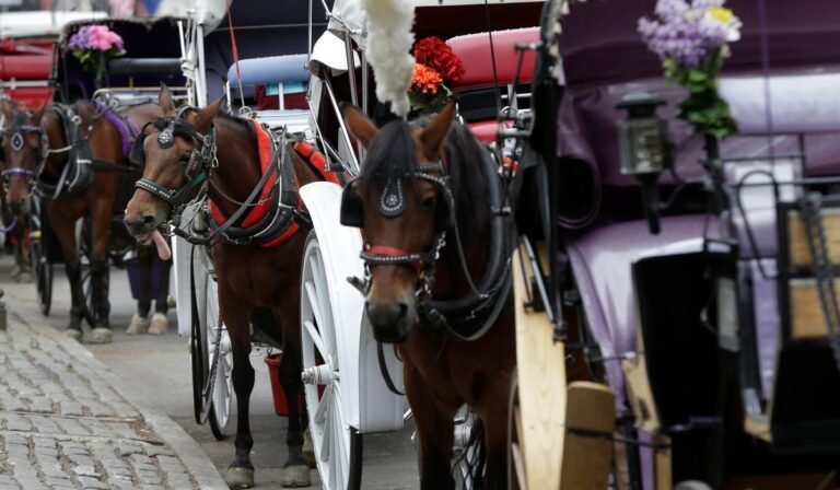 Teen dies after thrown from horse-drawn carriage in NYC’s Central Park