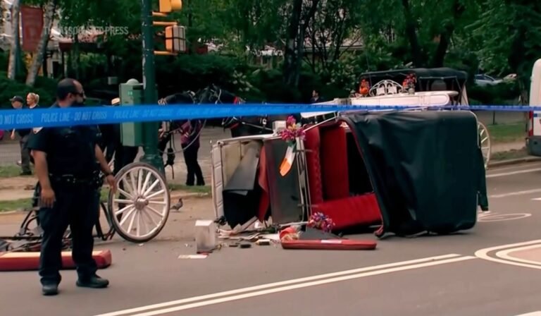 NYC carriage horse industry on pause after teenage tourist death in Central Park