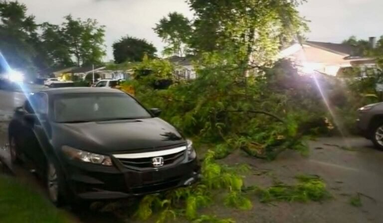 Tornadoes in Illinois and Indiana leave residents grappling with damage; cleanup efforts underway