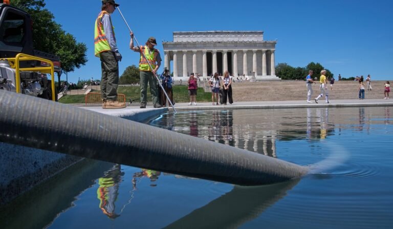 Blue coating is peeling off bottom of newly renovated Reflecting Pool