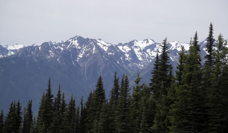 Human remains at Olympic National Park in Washington state identified after 26 years