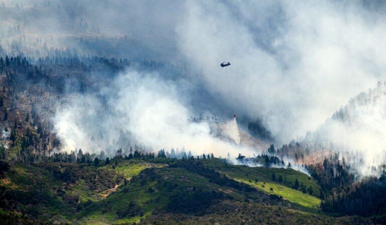 Trump administration seeks to stomp out all fires quickly, reviving policy that has been discredited