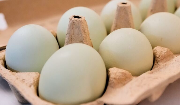 Egg producers will pay $3.3 million, donate 53 million eggs to settle price-fixing claims