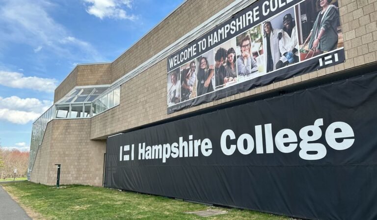 AI pushing the expected rise in college closures, analysts say