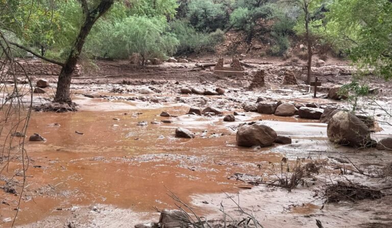 Dozens evacuated from Grand Canyon after flash flood hits creek leading to the Colorado River