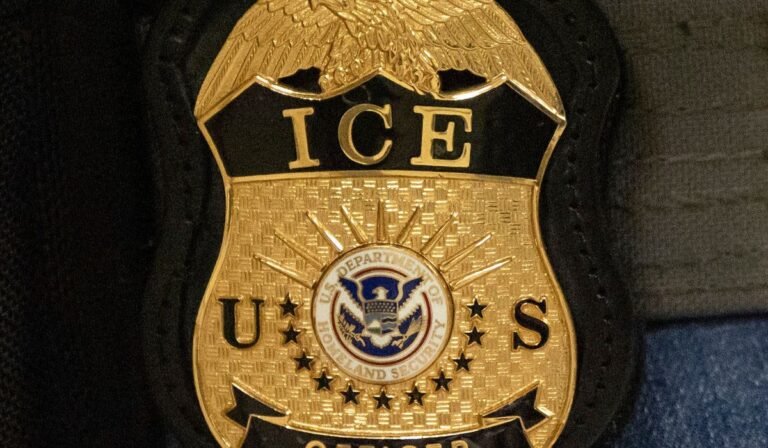 ICE pitches legal insurance to help shield local officers who make immigration arrests