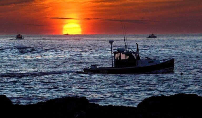Appeals court says fishermen’s claim in lobster defamation suit raises First Amendment questions