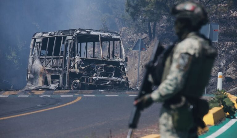 Man whose slain brother led Mexican cartel pleads guilty to drug charges in U.S.