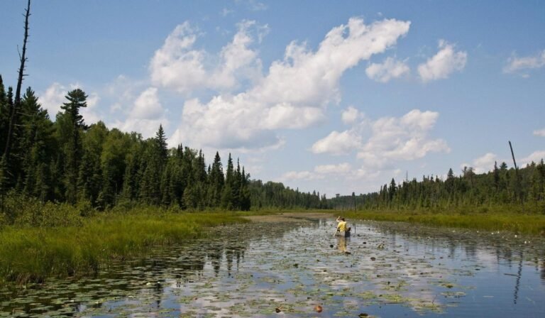 Minnesota governor signs order to slow down any mining efforts near Boundary Waters wilderness