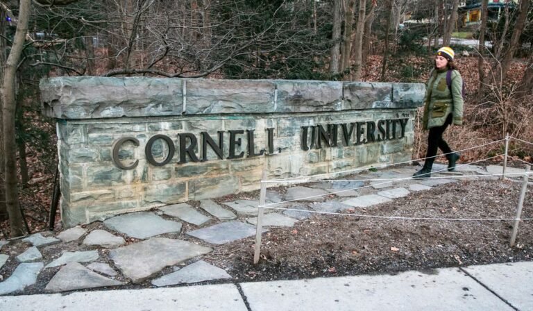 Cornell bans bear butchering in dorm kitchens after 2025 uproar