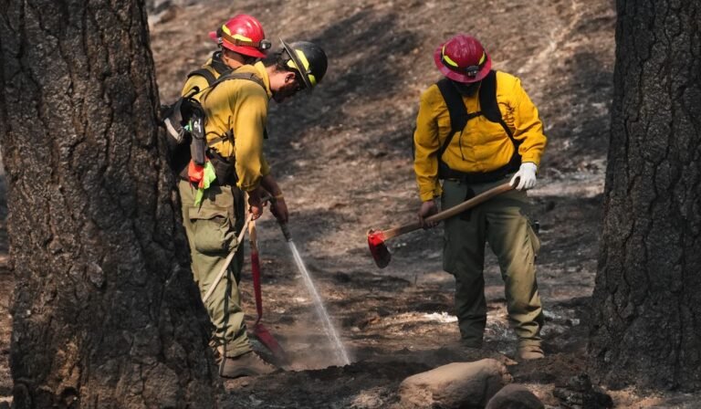 Officials warn wildland firefighters about the risks of using a supplement for smoke exposure