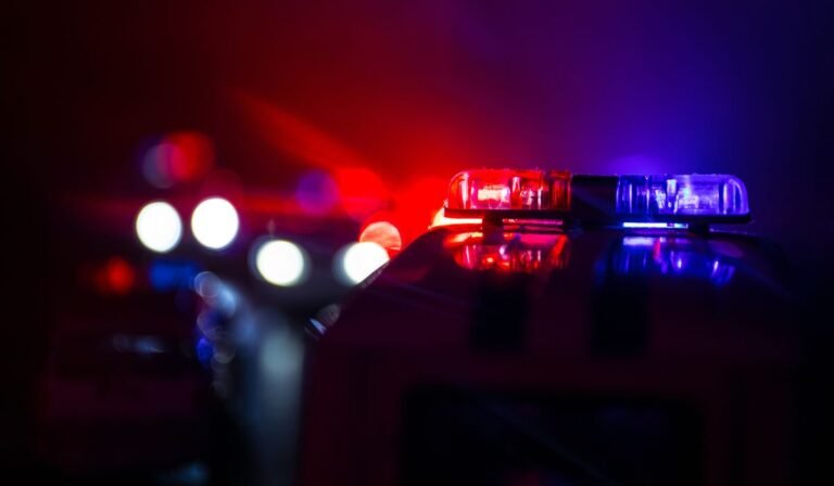 One dead, 14 wounded in South Side Chicago park shooting; no arrests made